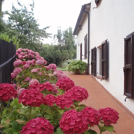 Ferienwohnung Terrasanta Santa Fiora Exterior foto