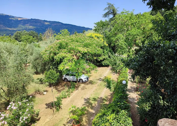 Terrasanta