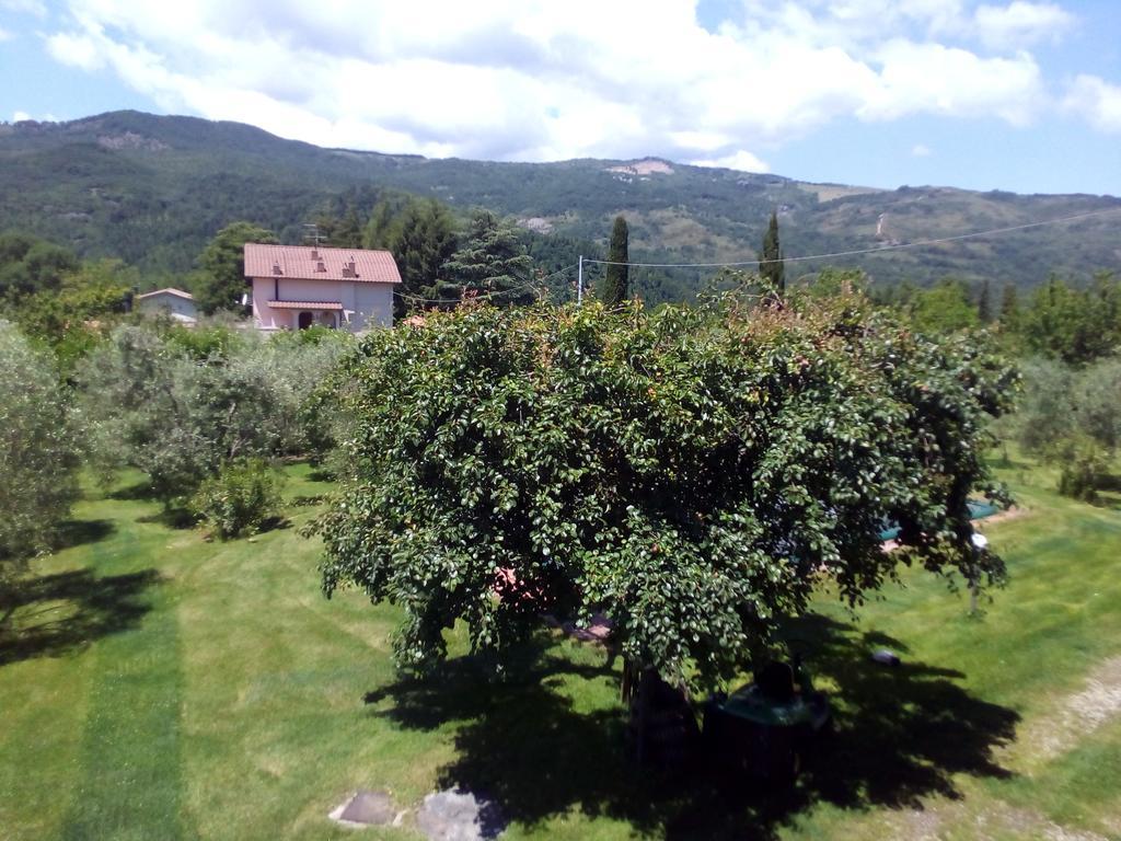 Terra Santa Apartment Santa Fiora