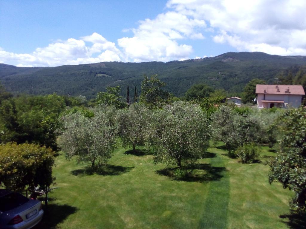 Terra Santa Santa Fiora